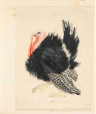 Лебедев Владимир Васильевич. Восемь иллюстраций к первому отдельному изданию: Маршак С. Кто колечко найдет? / Рис. В. Лебедева. М.: Детгиз, 1962